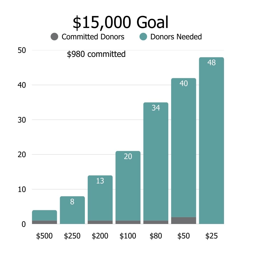 Curasmiles Donation Tracker Results
